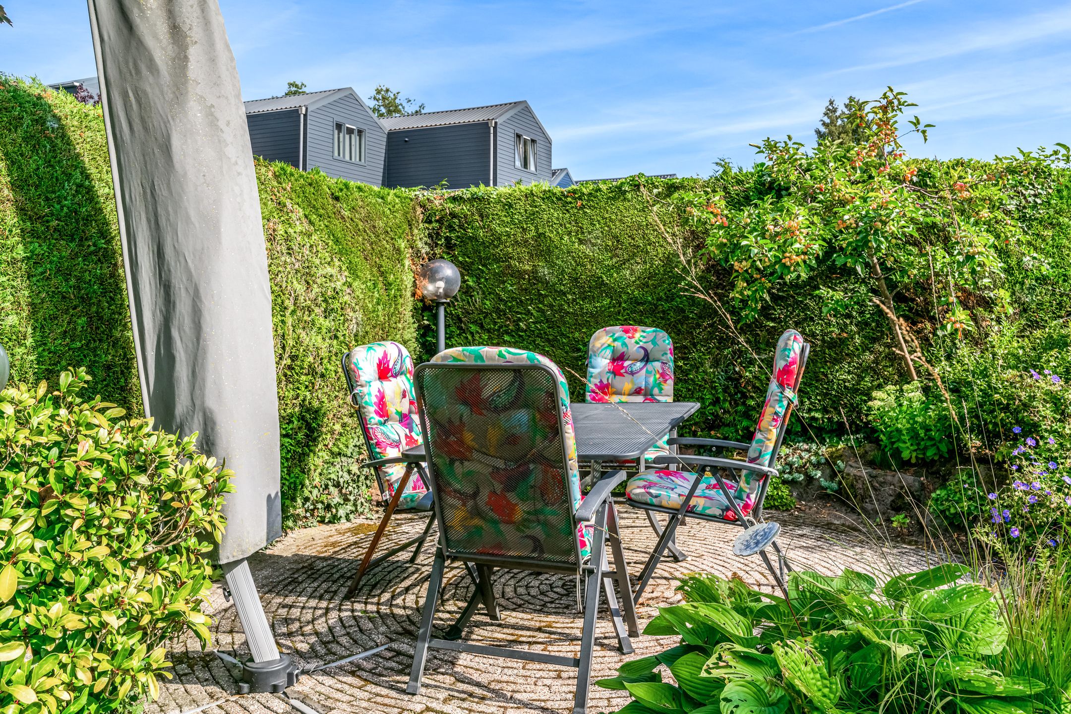 Photo 48 of Oeverloper 1