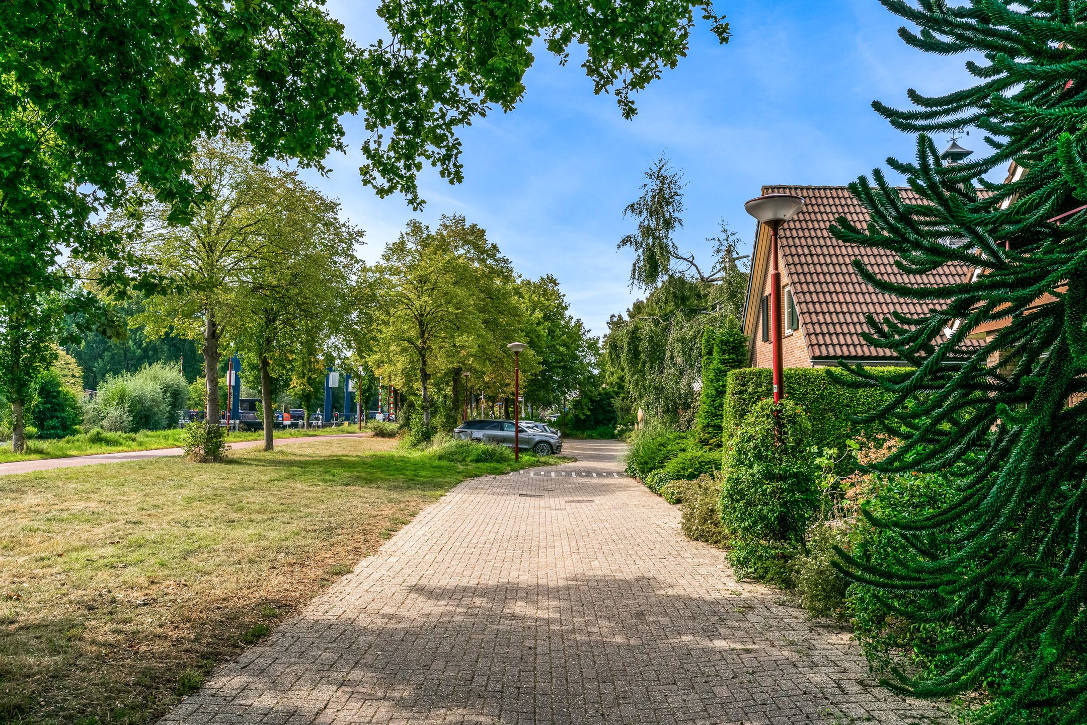 Photo 51 of Oeverloper 1