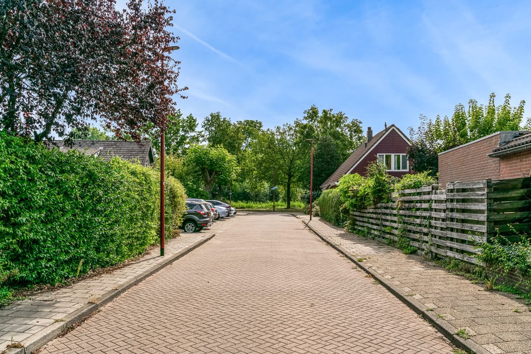 Photo 52 of Oeverloper 1