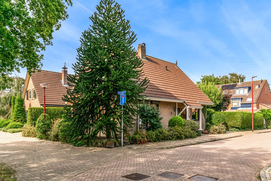 Photo 53 of Oeverloper 1