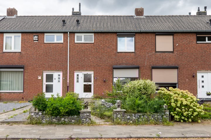 Foto 2 van Tournooiruwe 7