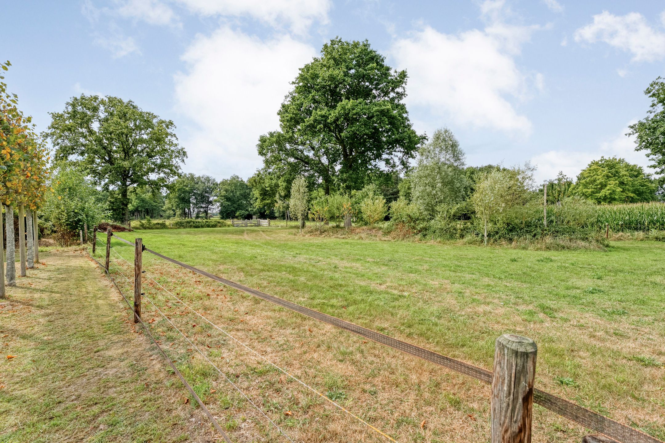 Foto 54 van Tibbensteeg 9