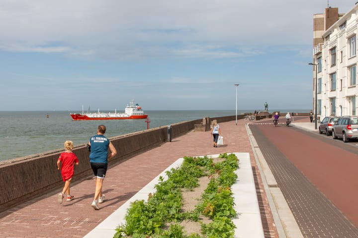 Photo 26 of Boulevard De Ruyter 68