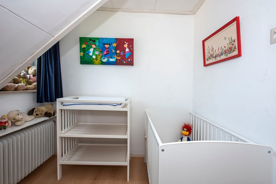 Foto 32 van Theo van Loonstraat 25