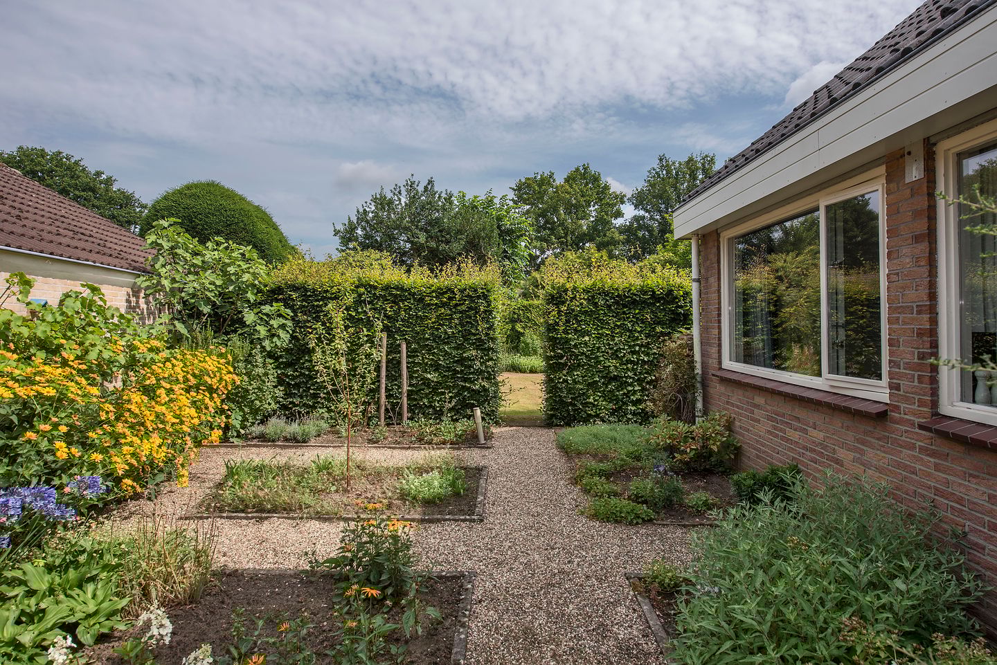 Foto 40 van Theo van Loonstraat 25