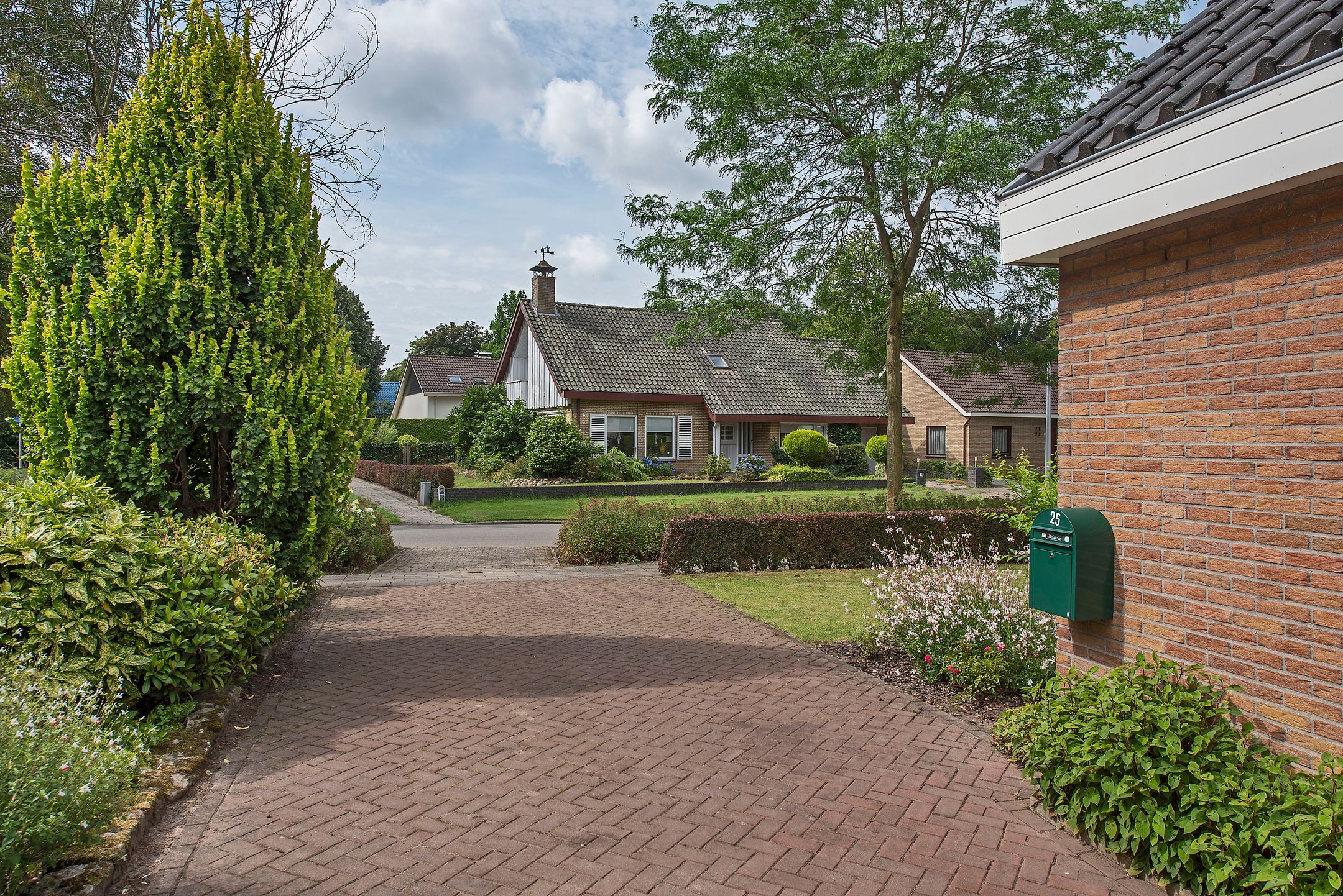 Foto 42 van Theo van Loonstraat 25