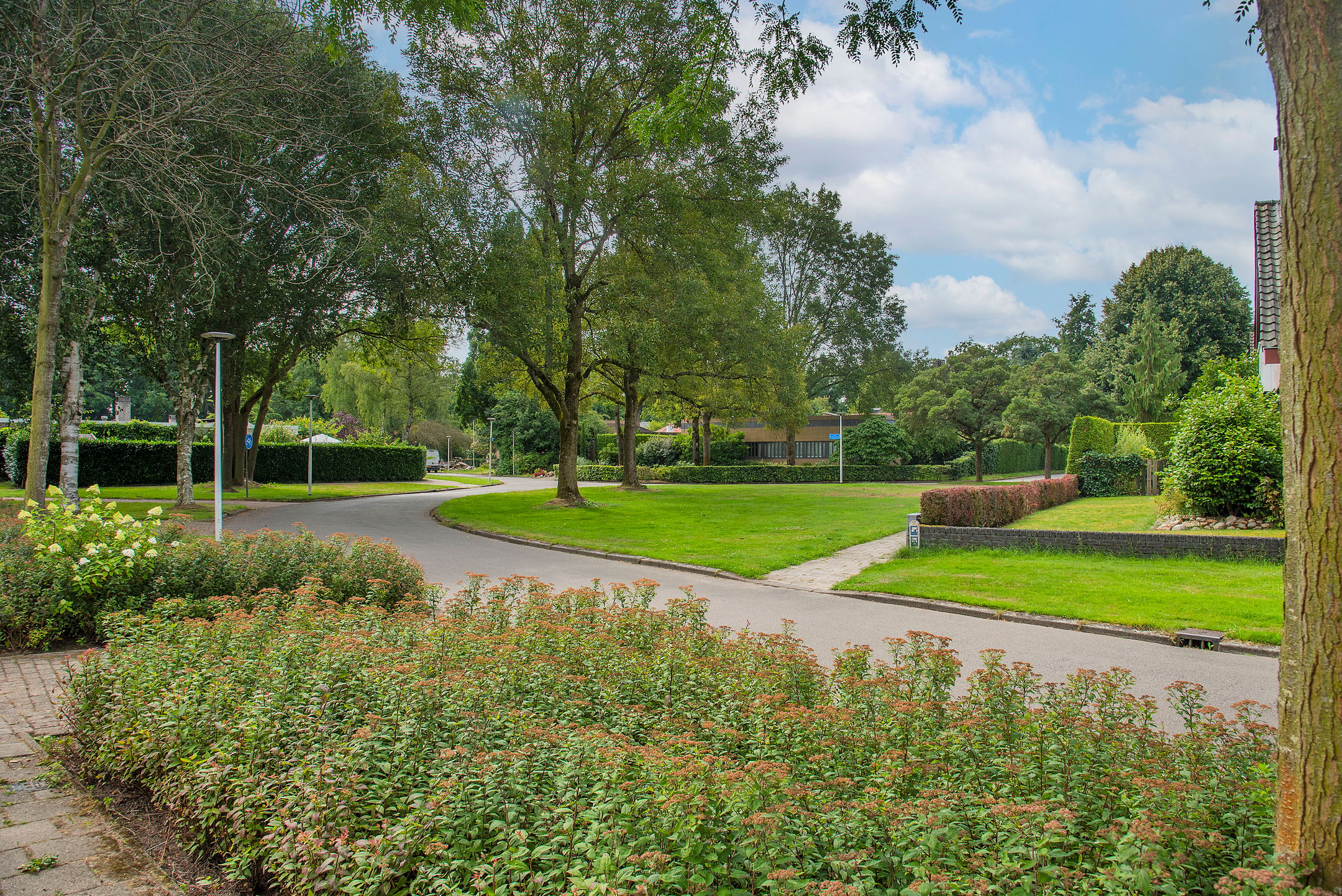 Foto 48 van Theo van Loonstraat 25