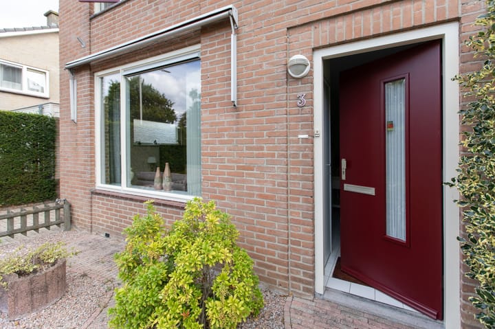 Foto 2 van Prinses Irenestraat 3