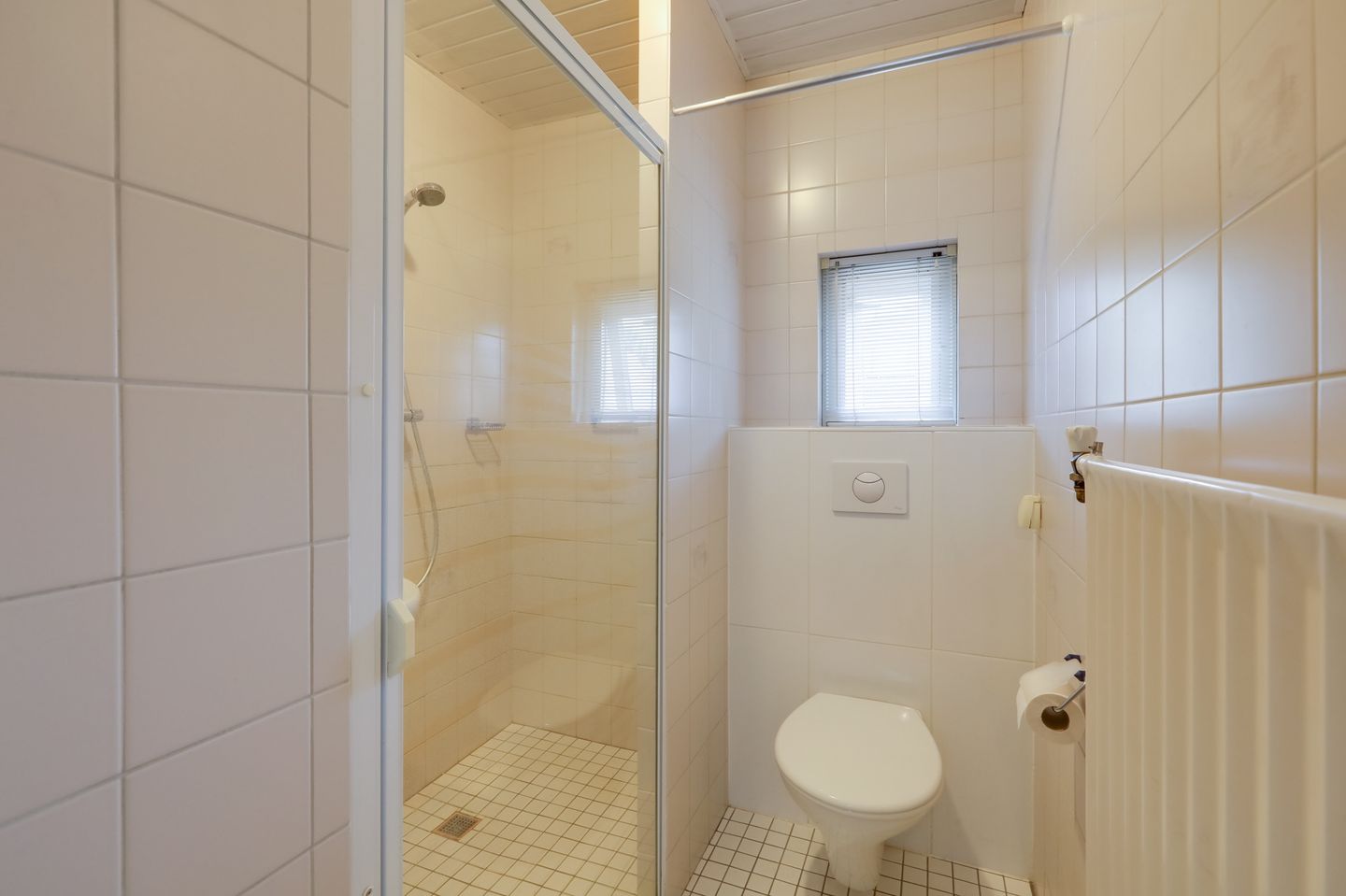 Foto 20 van Prinses Irenestraat 3