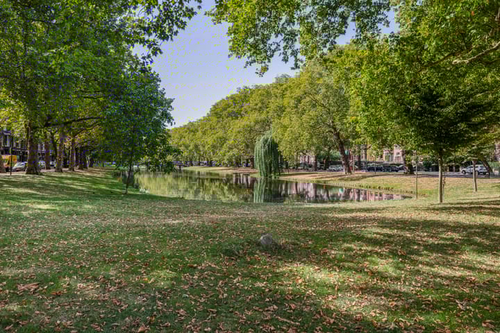 Photo 34 of Suze Groeneweglaan 25