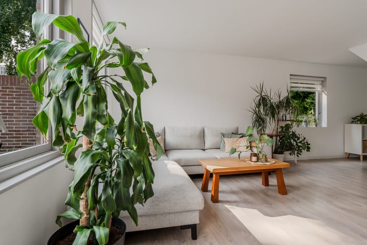 Foto 12 van Polderland 77