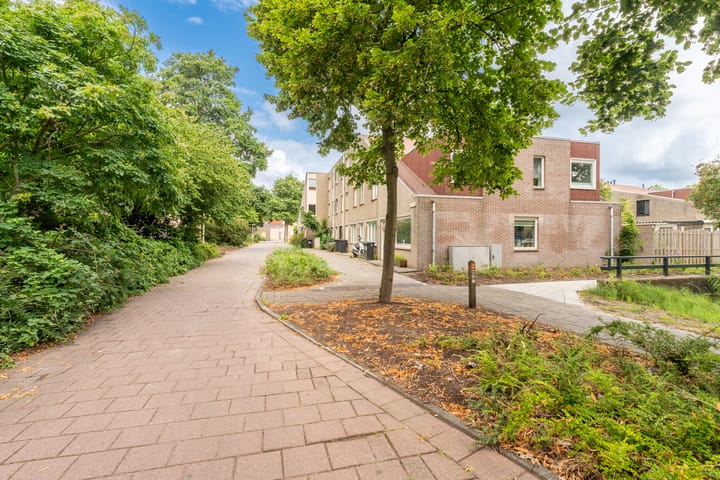 Foto 7 van Polderland 77