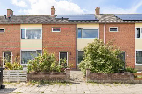 undefined main image