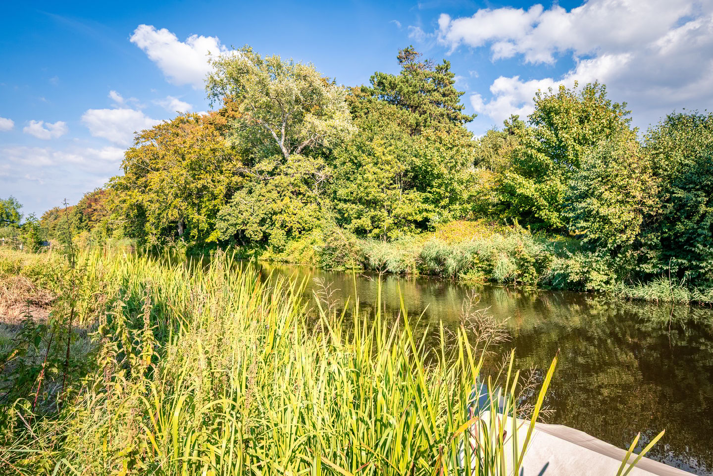 Photo 35 of Leidsevaart 164