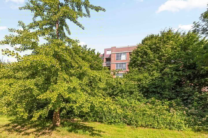 Foto 21 van Leusdenhof 290