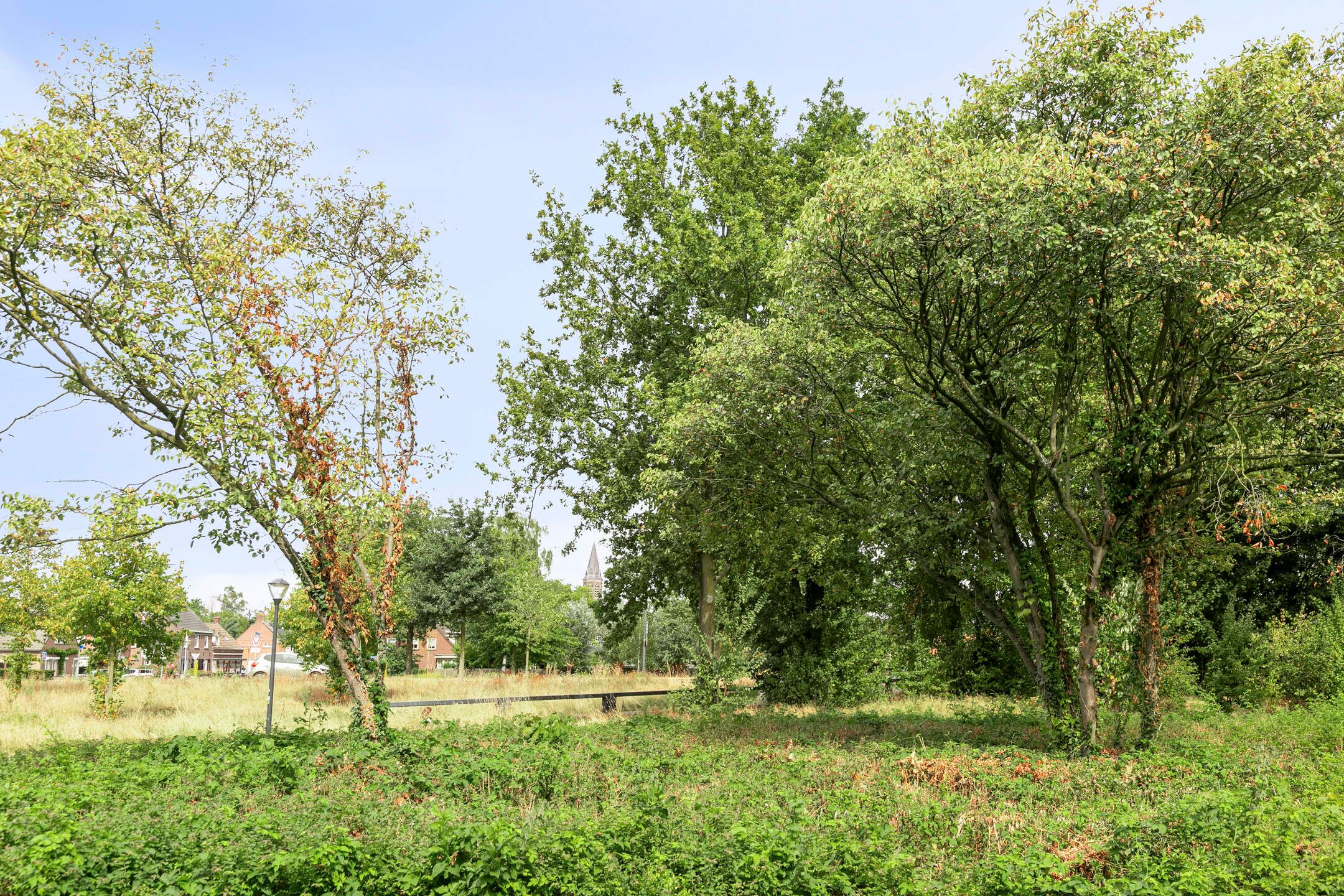 Photo 33 of Europalaan 204