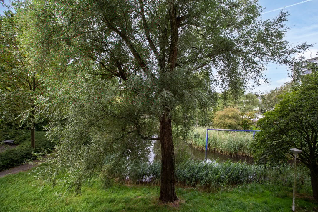 Foto 16 van Vliestroom 108