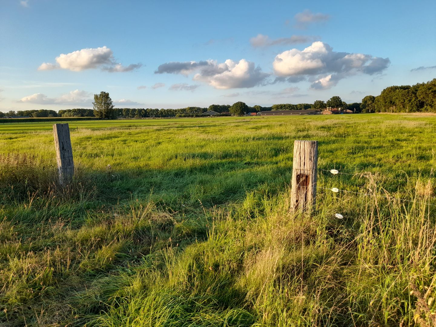 View photo 4 of Schoenlapperweg 4