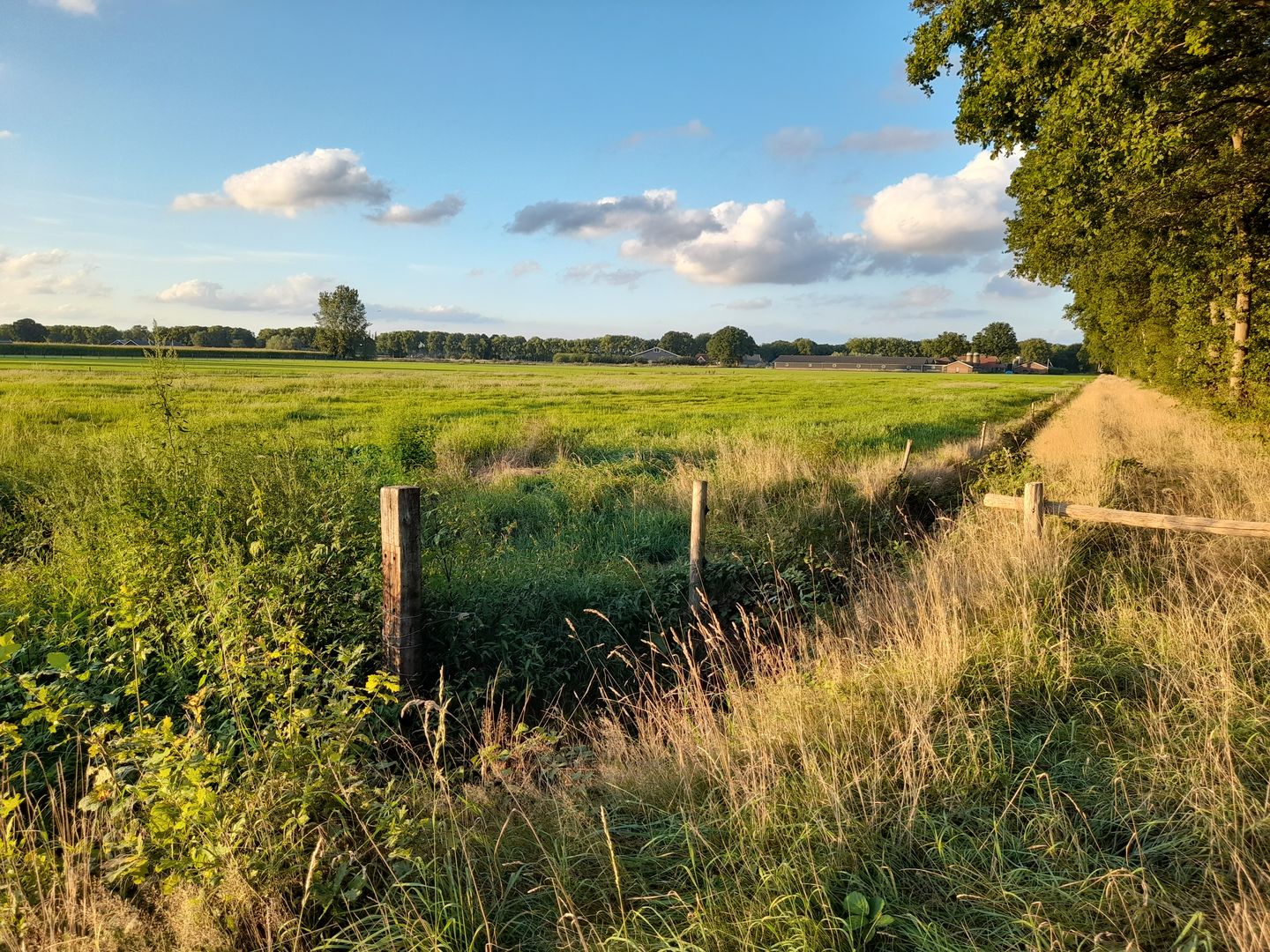 View photo 5 of Schoenlapperweg 4