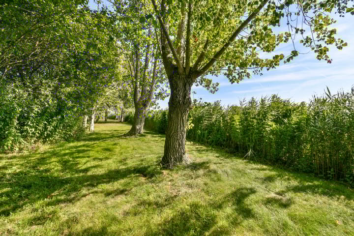 Photo 36 of Oosteinde