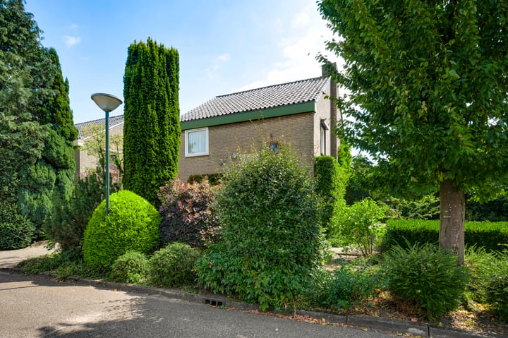 Foto 2 van Wilhelminaplein 9