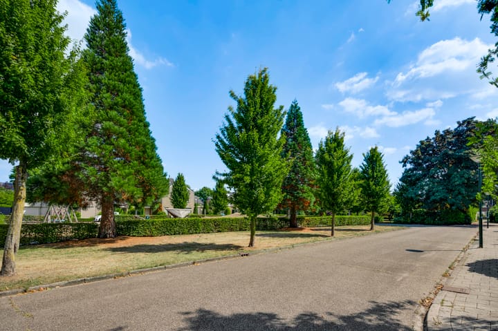 Foto 41 van Wilhelminaplein 9