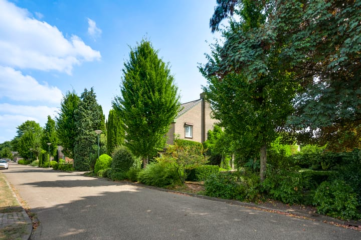 Foto 39 van Wilhelminaplein 9