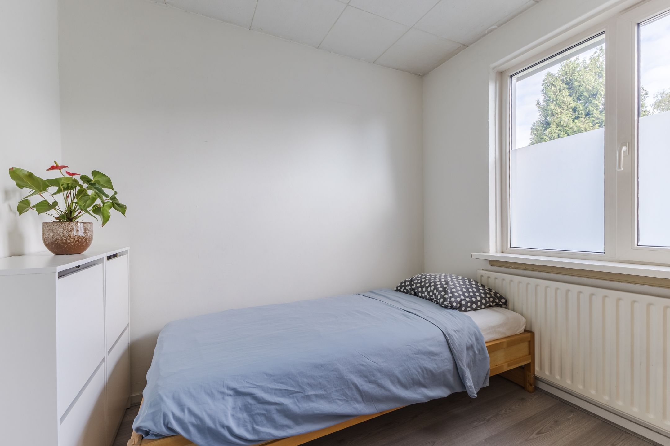 Foto 21 van Govert Flinckstraat 8