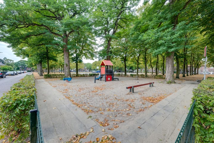 Foto 5 van Schoorveken 5