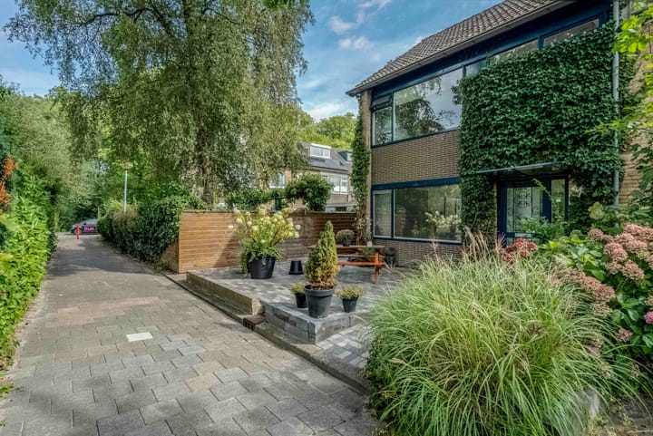 Foto 40 van Coronastraat 10