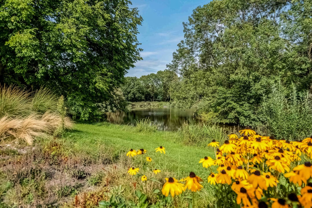 Photo 43 of Coronastraat 10