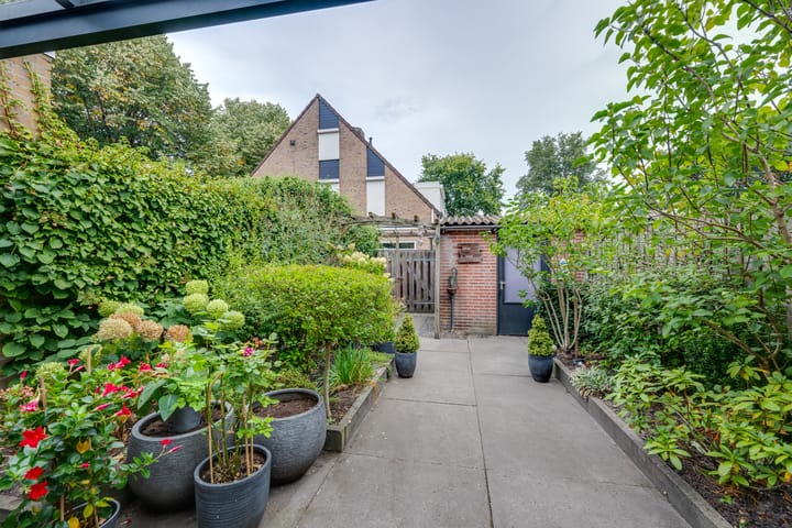 Foto 42 van Schoorveken 5