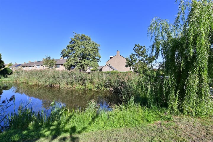 Foto 2 van Pieter de Hooghlaan 24