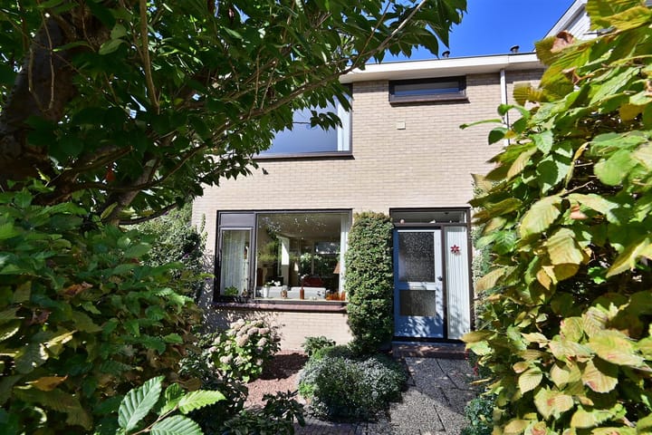 Foto 3 van Pieter de Hooghlaan 24