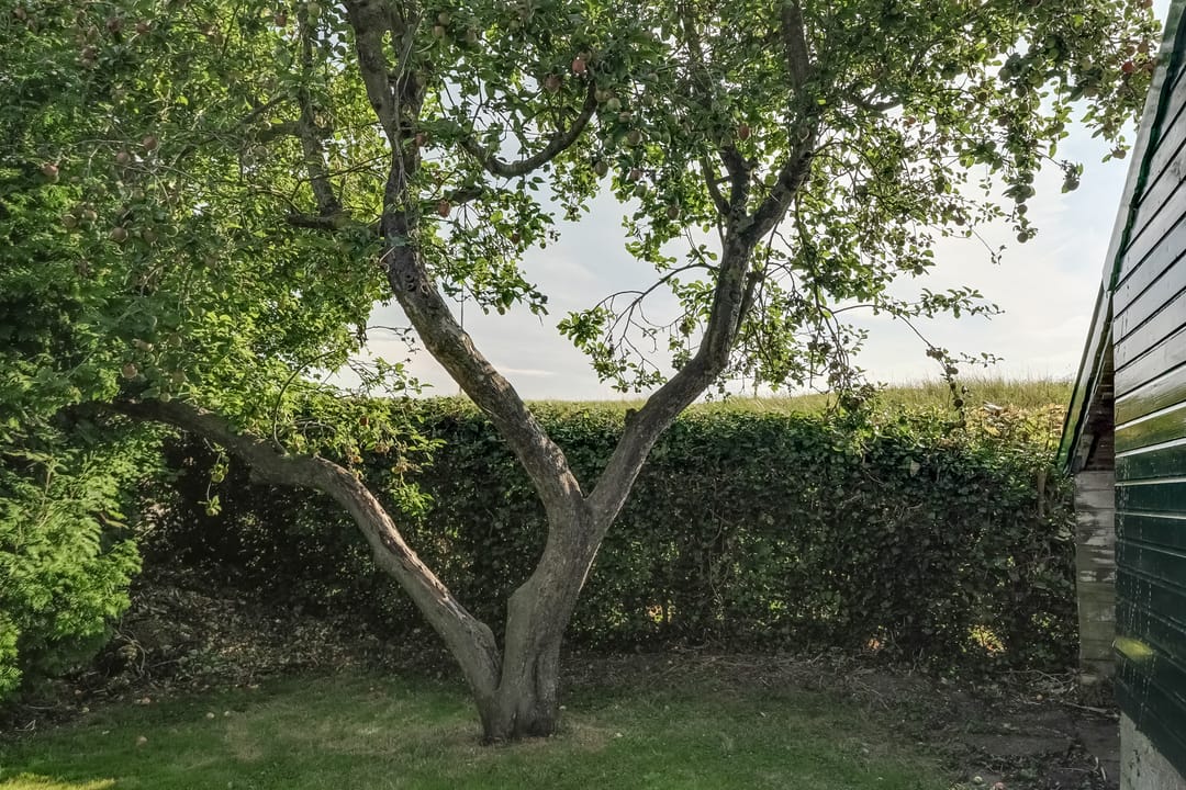 Photo 31 of Oosterleek 2