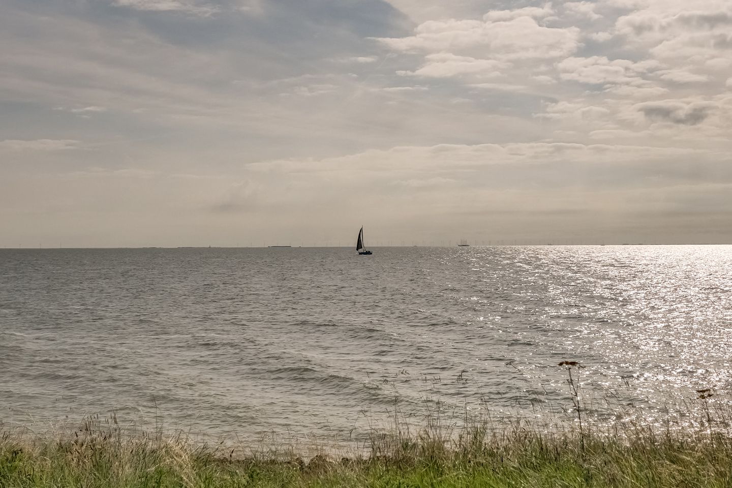 Photo 50 of Oosterleek 2