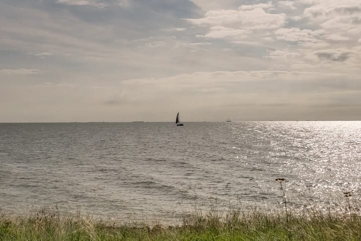 Photo 50 of Oosterleek 2