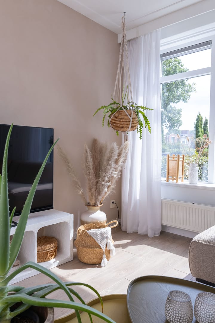 Photo 8 of Dokter Pinxterplantsoen 53