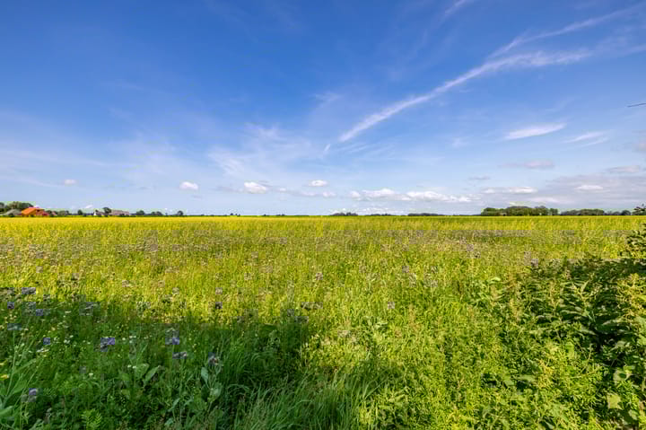 Foto 59 van Zijlvestweg 2