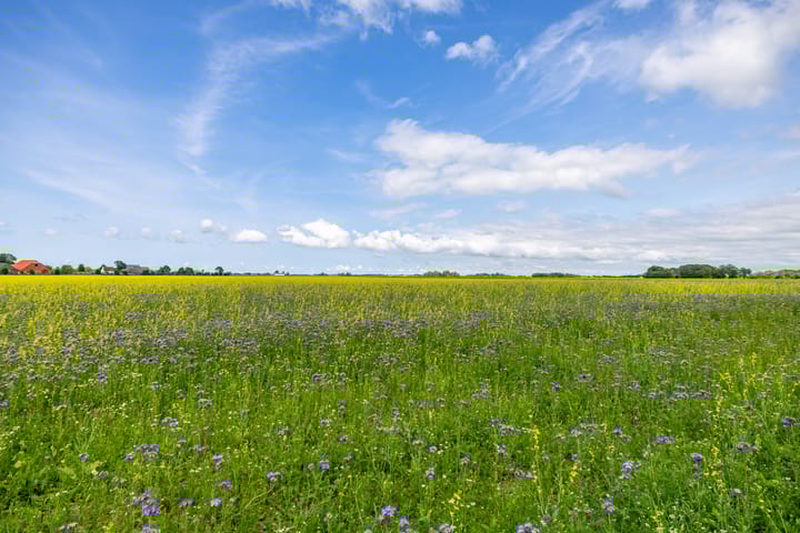 Foto 60 van Zijlvestweg 2