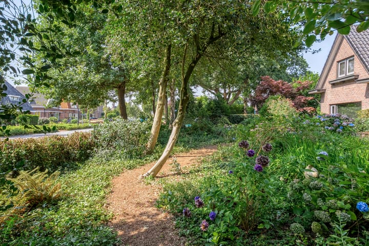 Photo 41 of van Heutszpark 3