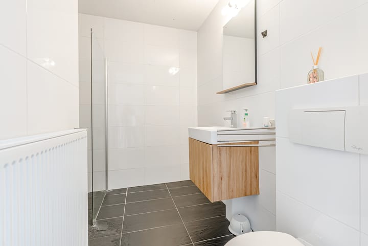 Foto 32 van Roald Amundsenstraat 156