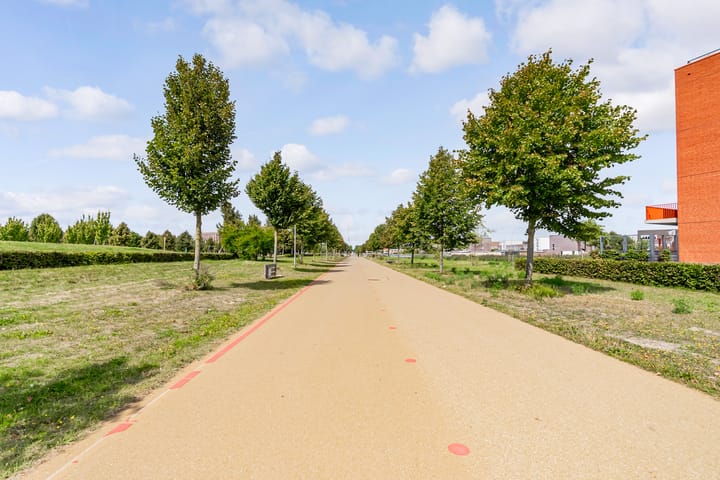 Foto 38 van Roald Amundsenstraat 156