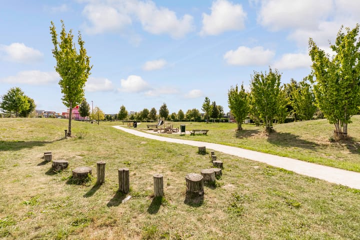 Foto 39 van Roald Amundsenstraat 156