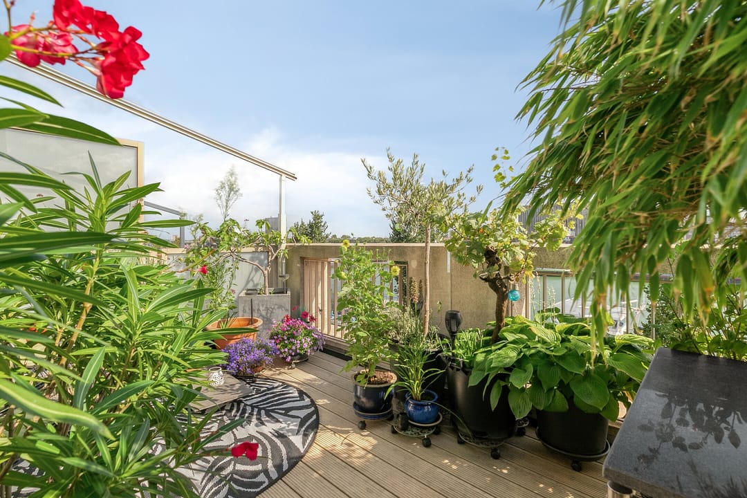 Photo 46 of Maashavenkade 169