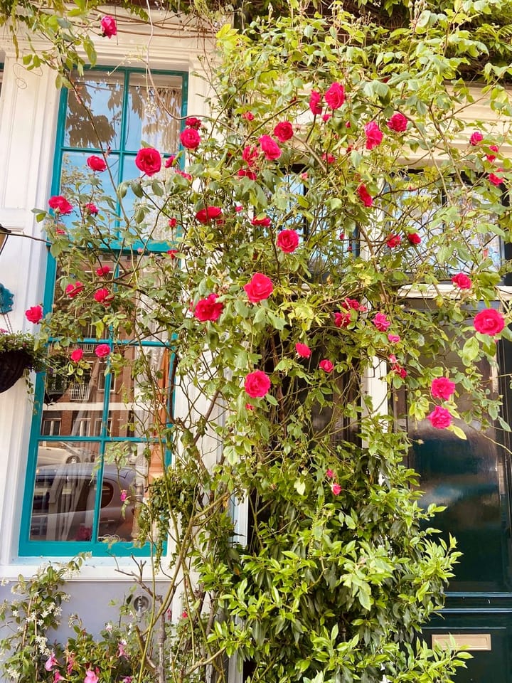 Foto 48 van Lindengracht 186