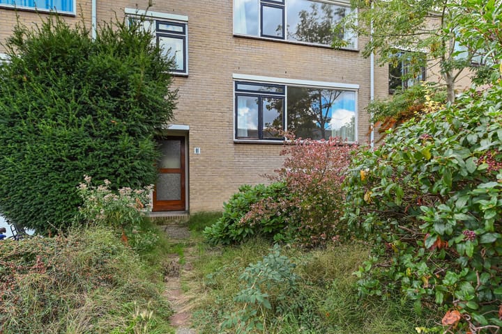 Foto 4 van Olgaland 11