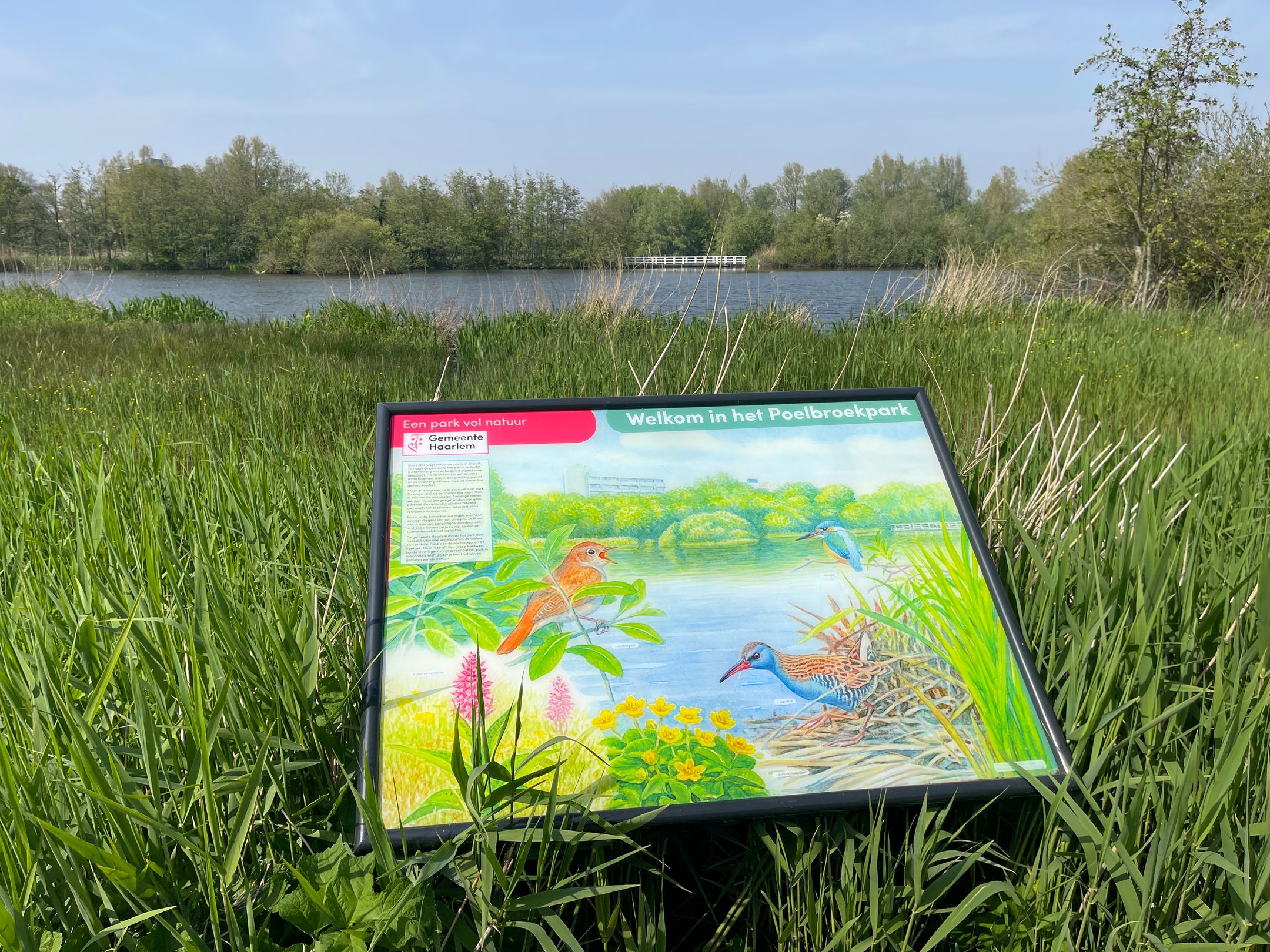 Photo 45 of Duitslandlaan 54