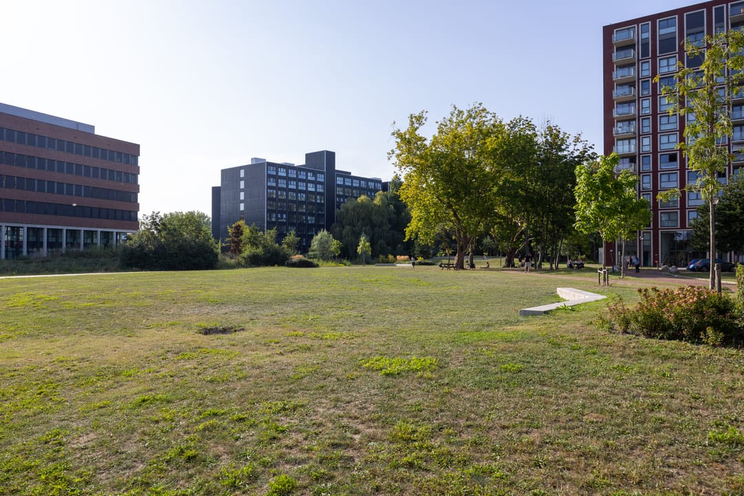 Photo 43 of Faljerilstraat 13