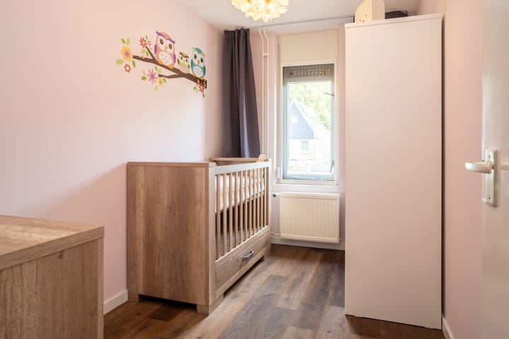 Foto 21 van Reygershöftehoek 133